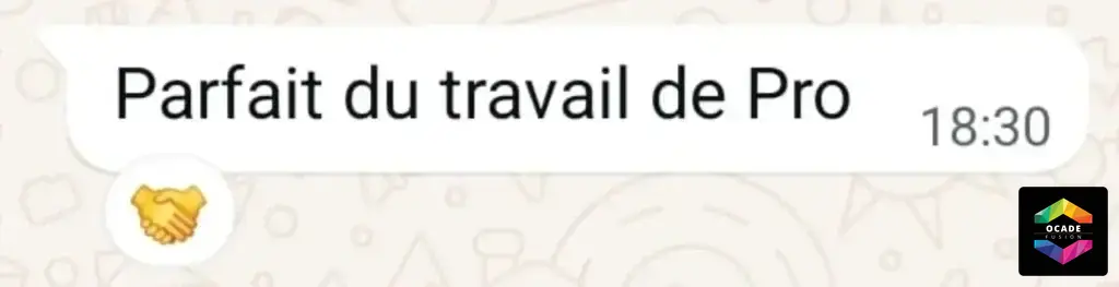 Ocade Fusion à fait un travail de professionnel !